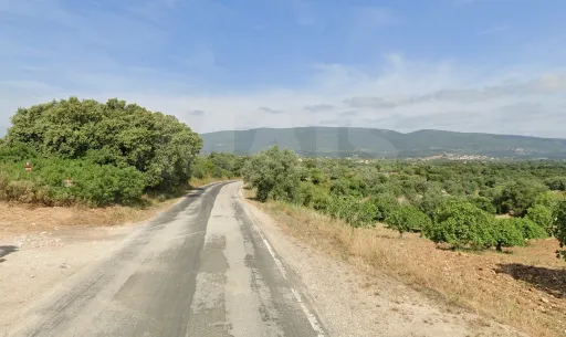Terreno Rustico Ribeira Ruiva VALE TORRES NOVAS