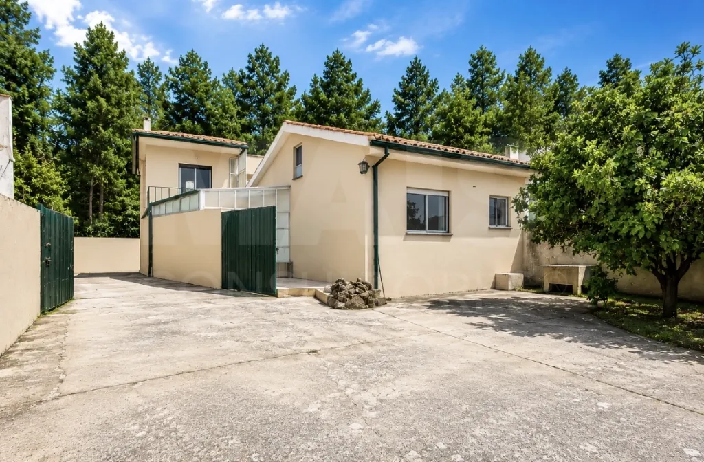 3-Bedroom + 1-Bedroom House