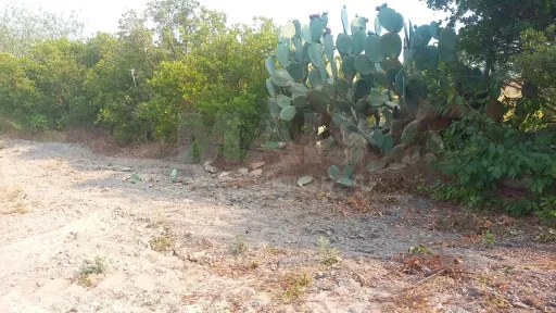 Terreno de 7.050 m² com pequeno armazém a Apenas 1 Hora de Lisboa