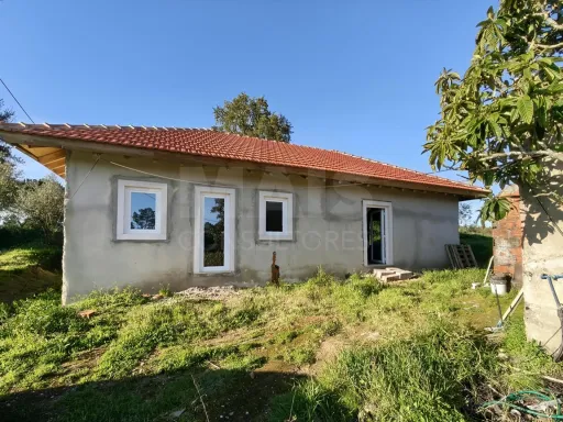 Moradia T2+1 c/ Anexo & Armazém em Lote de 7.600m2