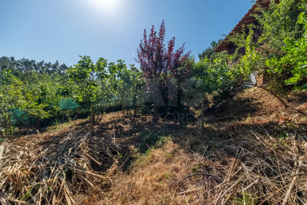 Terreno Agrícola na Fanadia | 16.100 m² de Potencial e Infraestruturas Preparadas