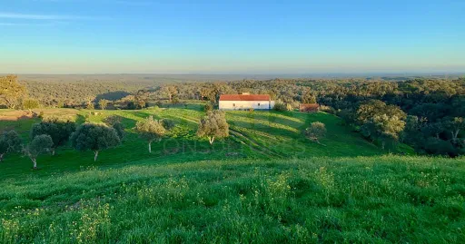 Herdade  com 40,85 hectares em São Bartolomeu da Serra, Santiago do Cacém