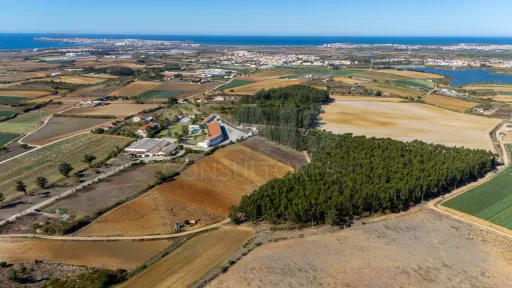 Parcela de terreno rústico de 4.700m2 em Atouguia da Baleia