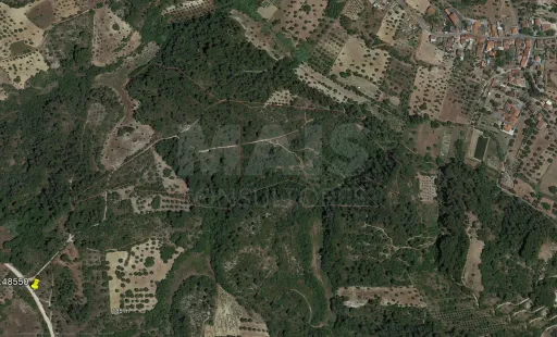 Terreno Rústico arborizado zona de POUSOS