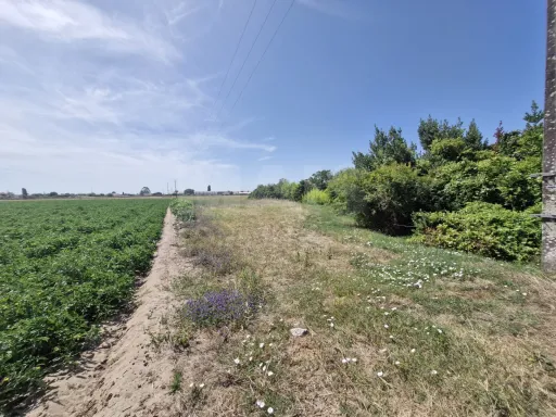 Quinta/Prédio Misto em Foros de Salvaterra – Excelente Oportunidade de Investimento