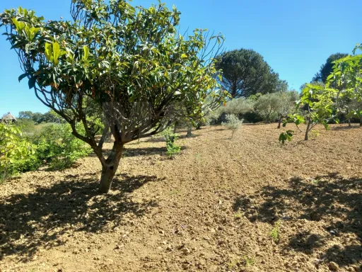 Terreno Rústico com 16840m2 com casa de apoio Calhandriz-Alhandra