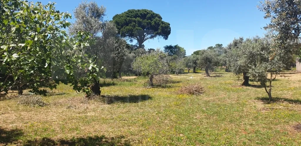 Terreno para construção  Casais Romeiros - Bugalhos - Santarém