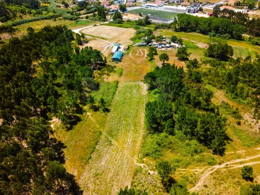 Terreno com quatro hectares e meio perto de indústria, no concelho de Torres Vedras