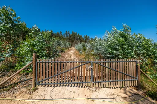 Terreno Agrícola na Fanadia | 16.100 m² de Potencial e Infraestruturas Preparadas