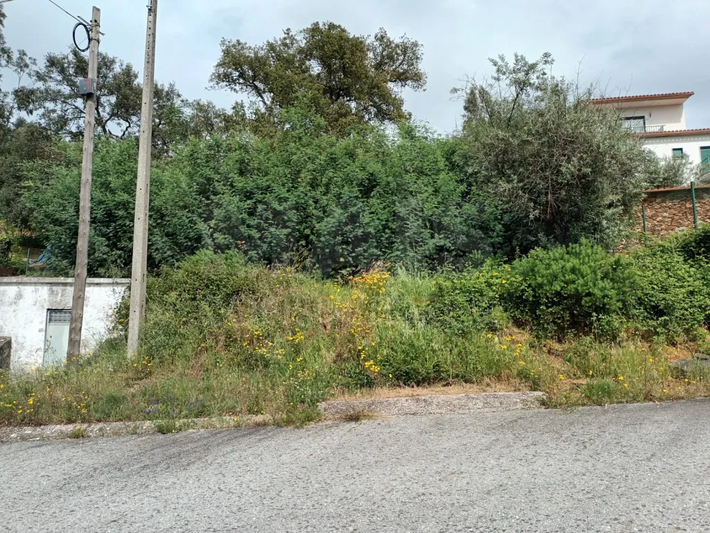 Terreno Misto, Salgueiro do Campo, Castelo Branco