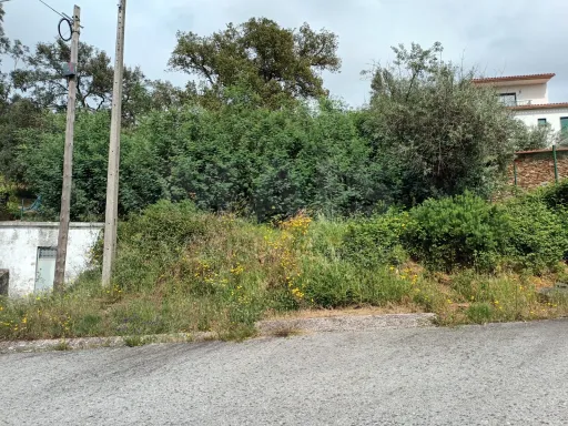 Terreno Misto, Salgueiro do Campo, Castelo Branco