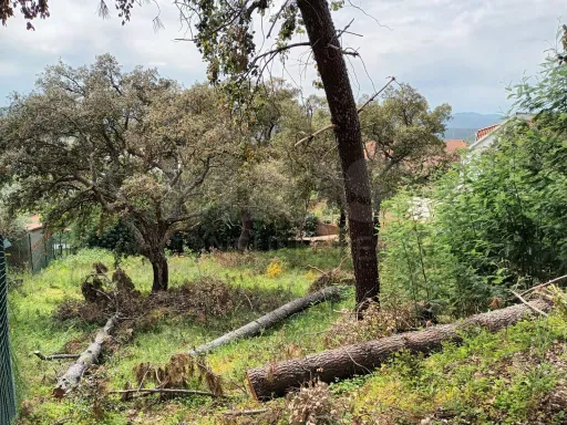 Terreno Misto, Salgueiro do Campo, Castelo Branco