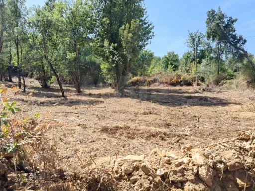 Terreno com 1872 m2 em Côja para construir