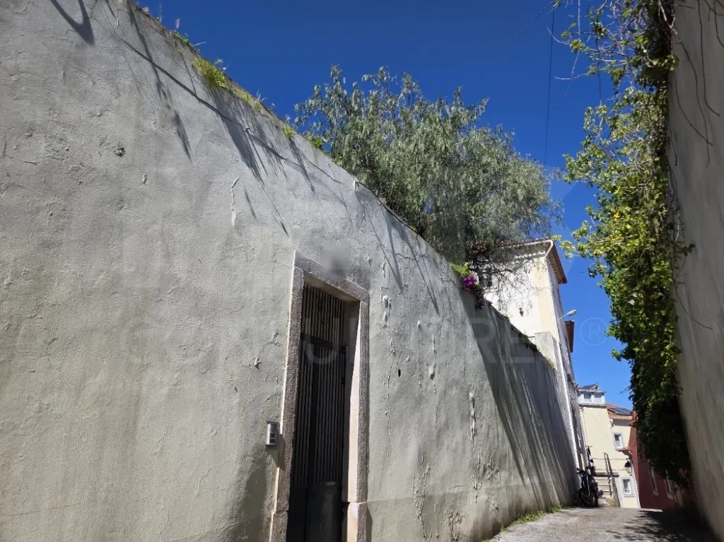 Prédio no Centro de Torres Novas com Jardim e Forte Potencial para constituição de Propriedade Horizontal com elevada rentabilidade de investimento