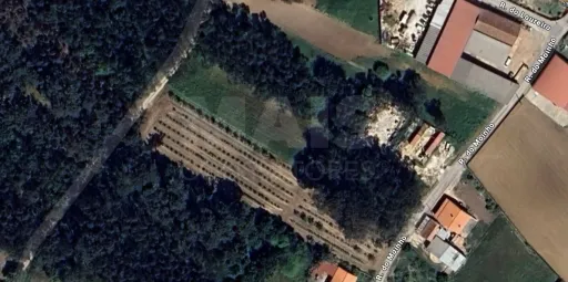 Terreno para construção de Moradias