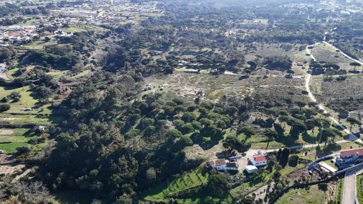 Terreno Rústico em Alfarim