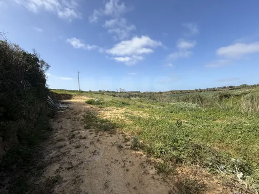 Terreno Rústico Exclusivo com Vista Mar | Natureza e Lifestyle Próximo das Praias de Peniche