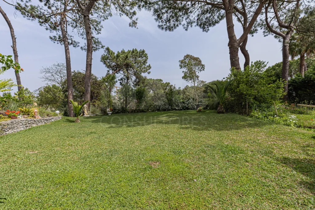 Moradia Contemporânea com terreno 700m2 em Soltroia – Próxima da Praia