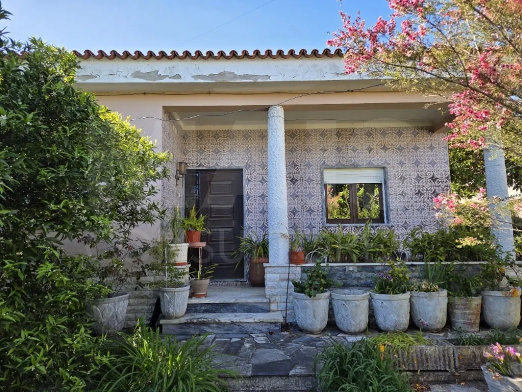 Moradia T3 com Jardim, Anexos e Enorme Potencial – Moitas Vendas