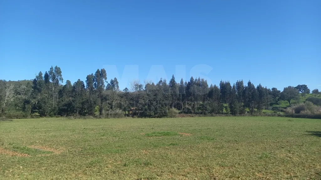 Herdade de 30 hectares em Cercal do Alentejo, Santiago do Cacém, Setúbal