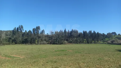 Herdade de 30 hectares em Cercal do Alentejo, Santiago do Cacém, Setúbal