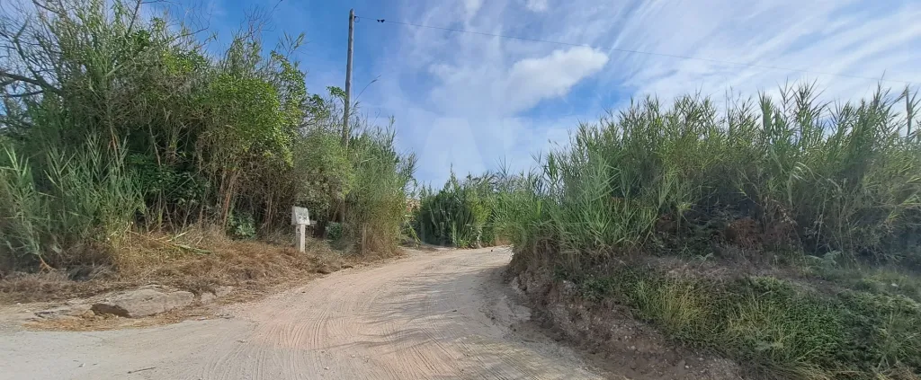 2 Lotes de Terreno (Rústicos) Serra dos Mangues, São Martinho do Porto