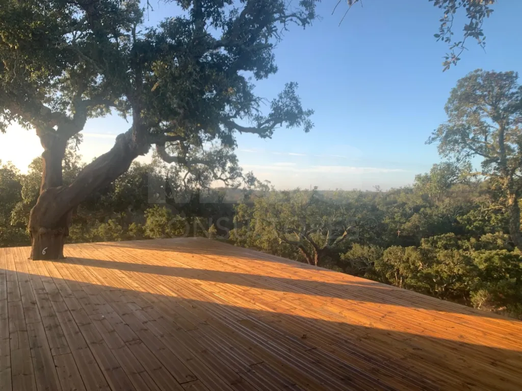 Herdade com 52,45 hectares em São Bartolomeu da Serra, Santiago do Cacém