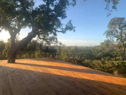 Herdade  com 40,85 hectares em São Bartolomeu da Serra, Santiago do Cacém