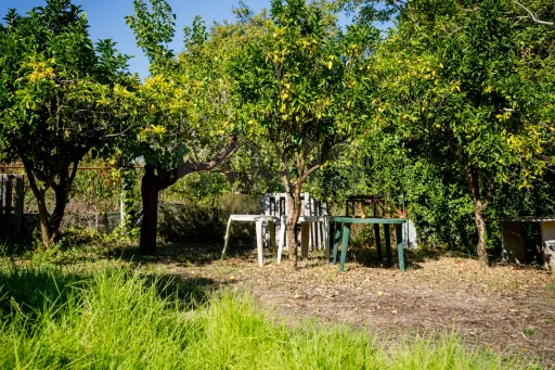 Terreno com 1600m2 rodeado pela natureza