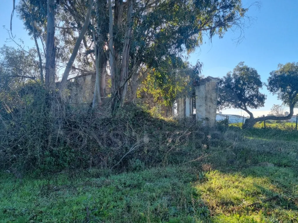 Terreno com Ruina SAO PEDRO DE TOMAR