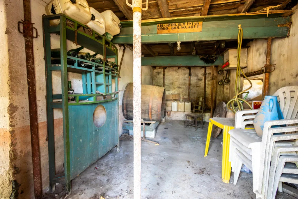 CHARACTERFUL PROPERTY IN N2 | 400 m² OF BUILT AREA, OLIVE GROVE, AND TOURISM POTENTIAL