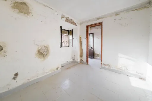 Quinta com duas moradias em ruína, poço e anexo com T0!