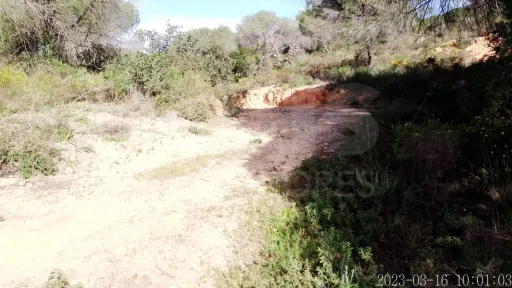 Lote de Terreno Rustico