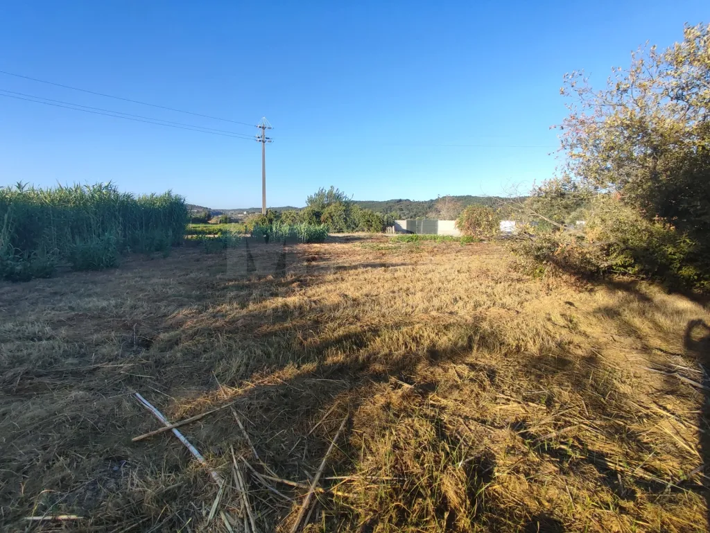 Quinta com moradia para recuperar na zona de Abrantes