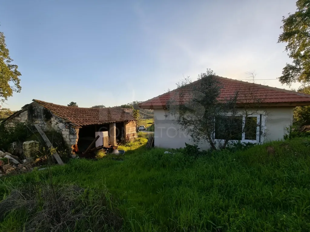 House T2+1 w/ Annex & Warehouse on 7.600m2 plot