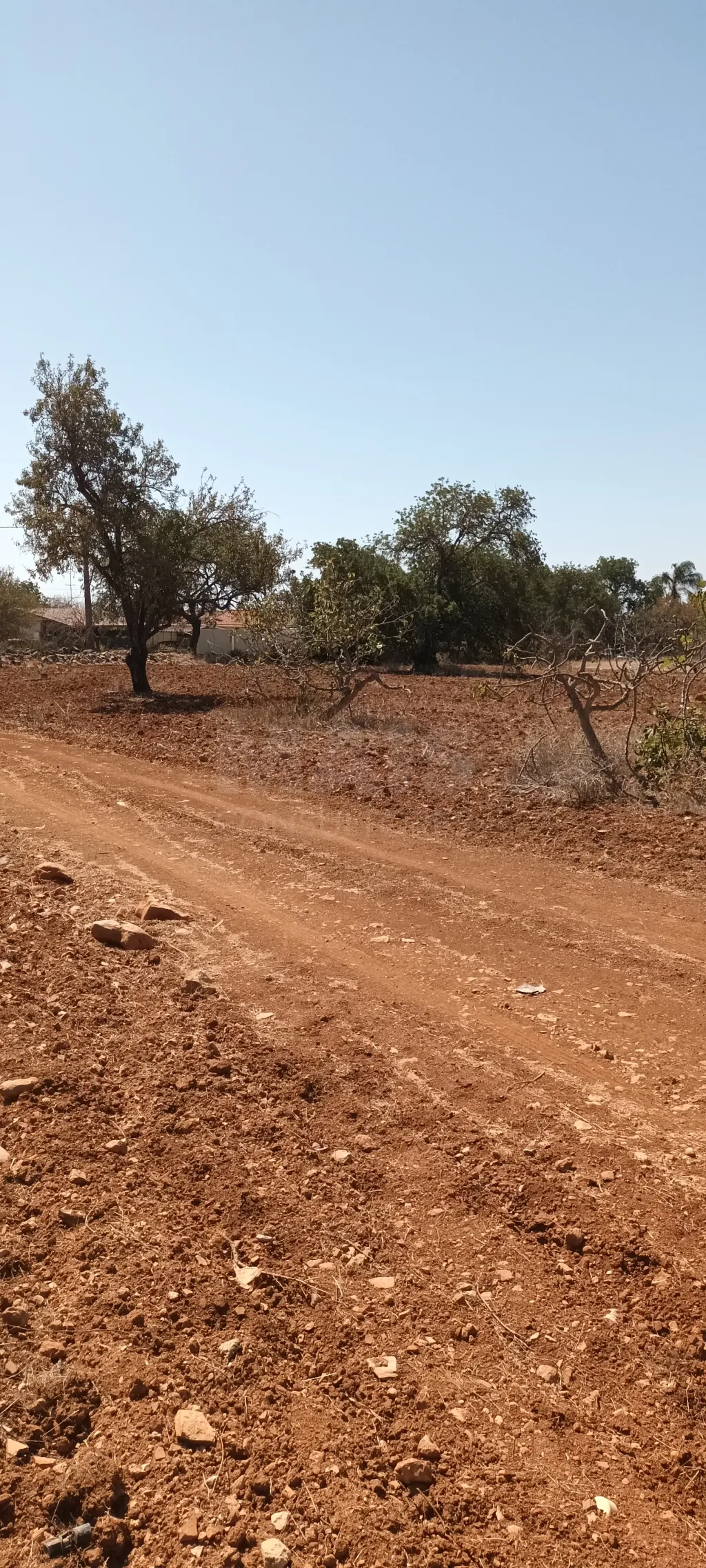 Terreno urbano com ruina / rustico