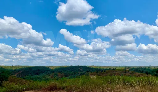Herdade  com 40,85 hectares em São Bartolomeu da Serra, Santiago do Cacém