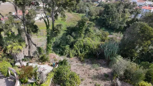 Terreno com Potencial de construção no  Nadadouro