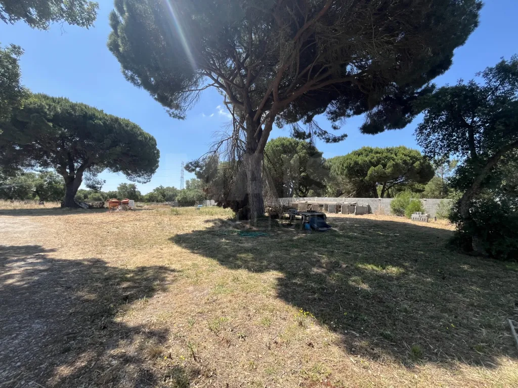 Land in Arados, Samora Correia
