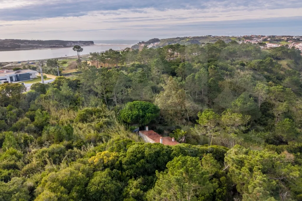 Refúgio Exclusivo na Foz do Arelho: Uma Oportunidade Única de Preservação e Natureza