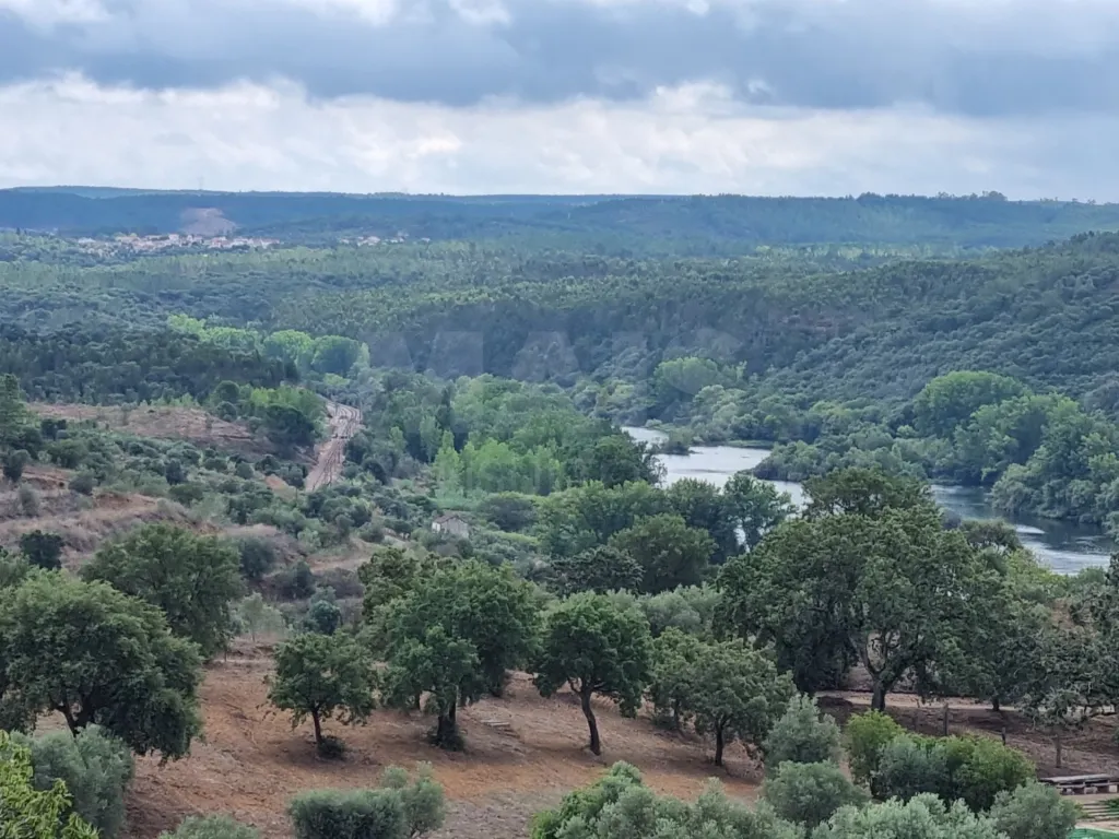 QUINTA, em  Casas Novas  - MOURISCAS -ABRANTES