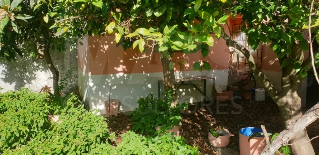 Moradia V 4 + Armazém + Casa Térrea de 45m2 em CASAIS ROMEIROS Santarém