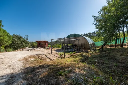 Terreno Agrícola na Fanadia | 16.100 m² de Potencial e Infraestruturas Preparadas
