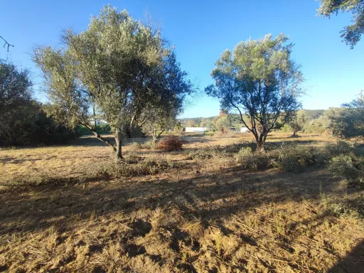 Quinta com moradia para recuperar na zona de Abrantes