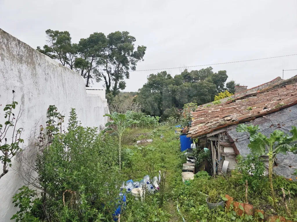 Terreno com Potencial de construção no  Nadadouro