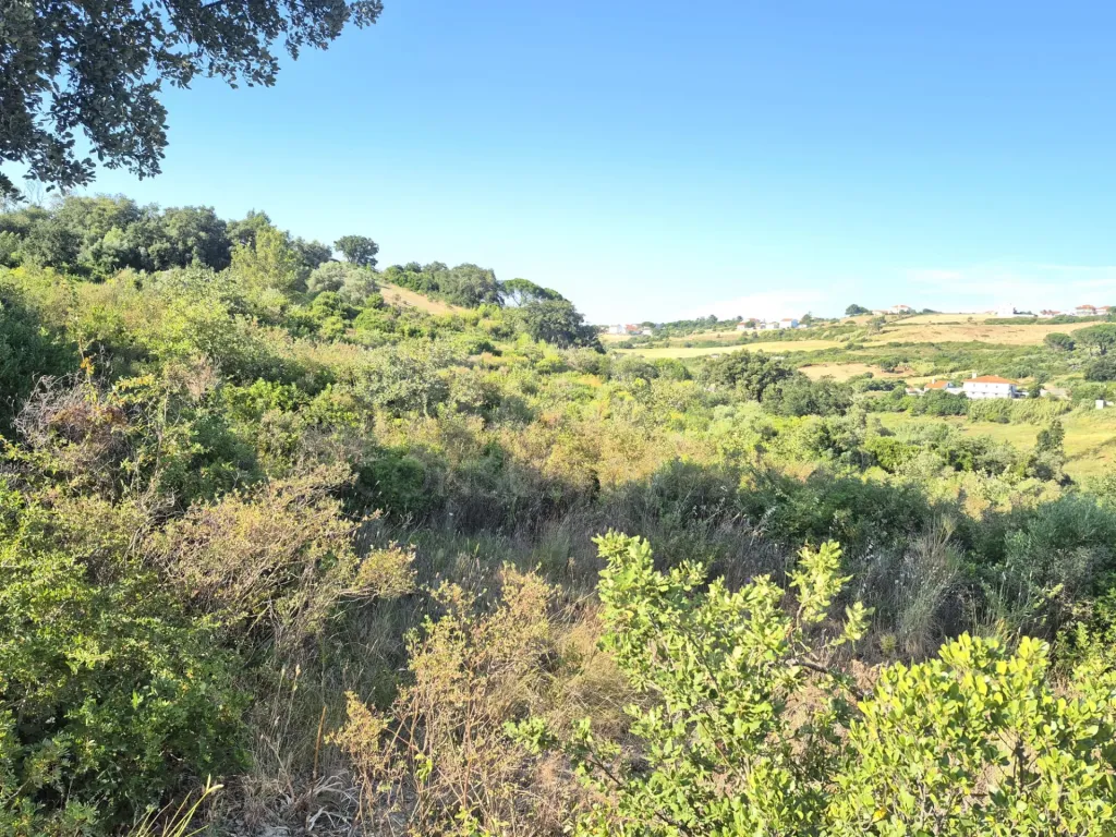 14,680 m² of rural land in S. João dos Montes - Alhandra