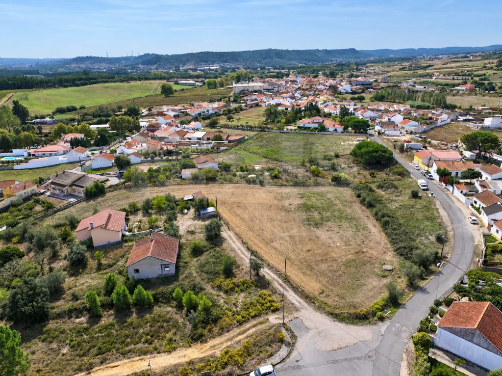 Terrano de 7.024 m2 com Potencial de Loteamento | Alcoentre