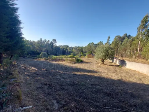 Terreno em meda de mouros com 7 mil m².