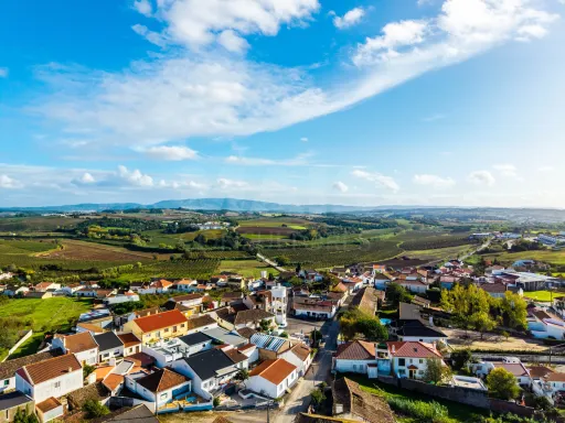 Quinta com duas moradias em ruína, poço e anexo com T0!