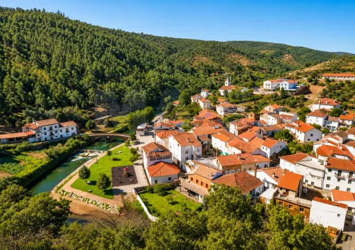PROPRIEDADE DE CARÁTER NA N2 | 400 m² DE CONSTRUÇÃO, OLIVAL E POTENCIAL TURÍSTICO